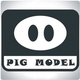 PIG MODEL